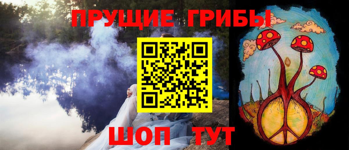 Тайшет  даркнет сайт  Вход с VPN  Псилоцибиновые грибы Cubensis 